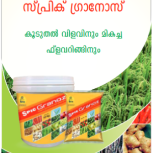 SPIC GRANOZ ( SPIC ഗ്രാനോസ് ഫ്ലവറിങ്ങ്)