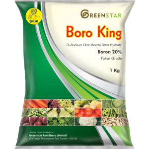 SPIC BORO KING