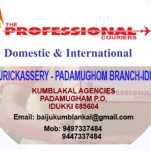 PROFESSIONAL COURIER KERALA COURIER CHARGE 750-gms